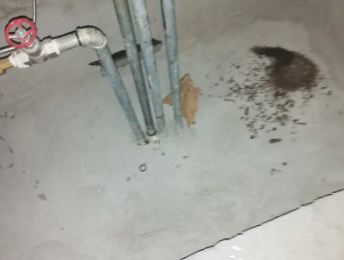 南浔卫生间测漏水价格明细