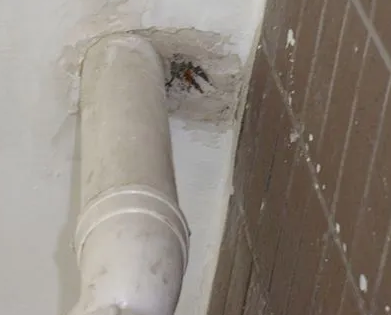 南浔漏水检测哪家好